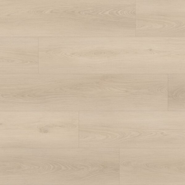 Montclair 6.5mm — Freemont Fir