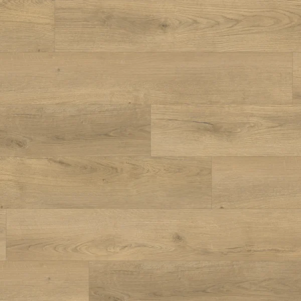 Citadel 8mm — Noa Oak